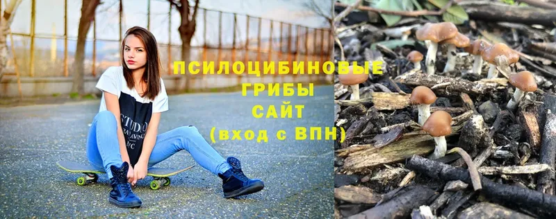 Галлюциногенные грибы ЛСД  сколько стоит  Сосновка 